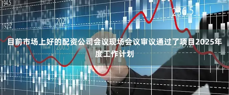 目前市场上好的配资公司会议现场会议审议通过了项目2025年度工作计划