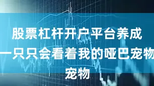 股票杠杆开户平台养成一只只会看着我的哑巴宠物