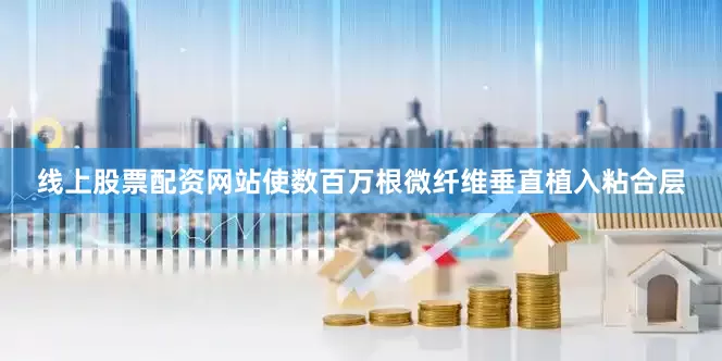 线上股票配资网站使数百万根微纤维垂直植入粘合层