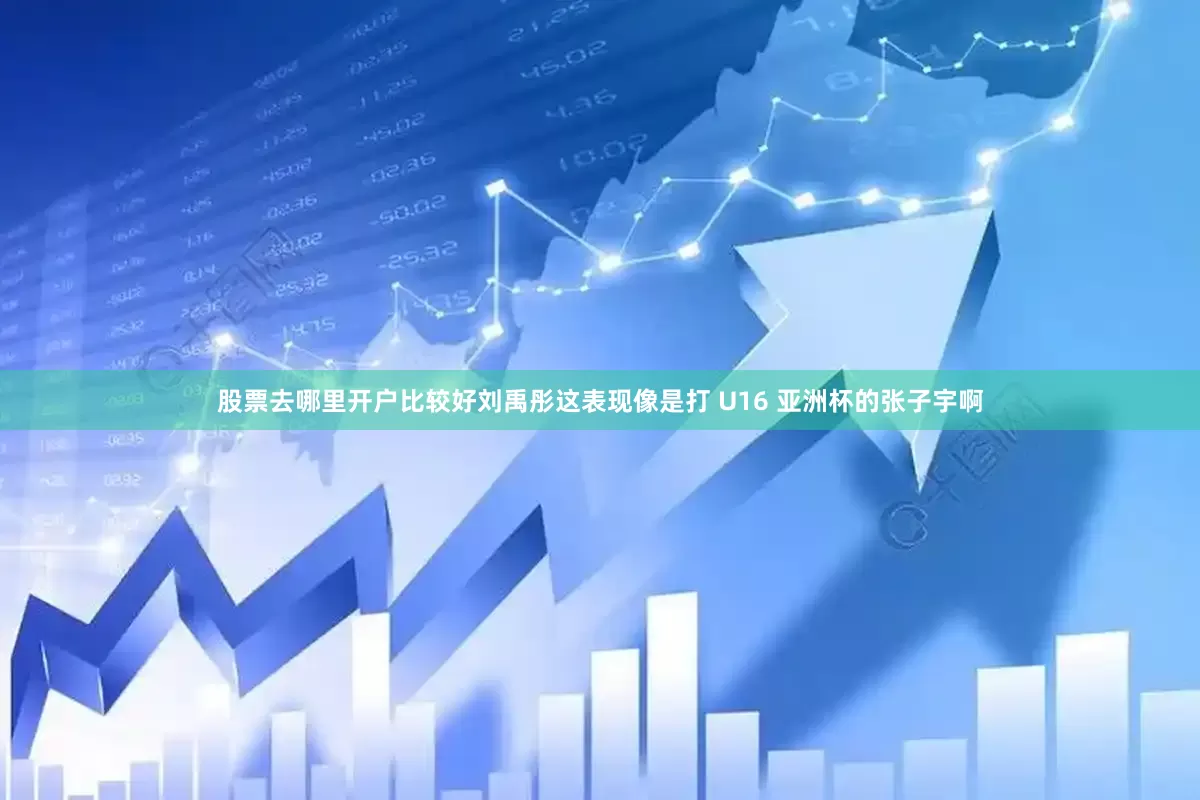 股票去哪里开户比较好刘禹彤这表现像是打 U16 亚洲杯的张子宇啊